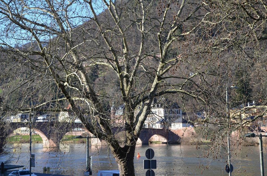 Neckarblick - Altstadt Heidelberg