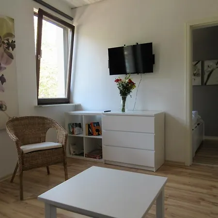 Ferienwohnungen Neckarblick - Heidelberg Altstadt Zewnętrze zdjęcie