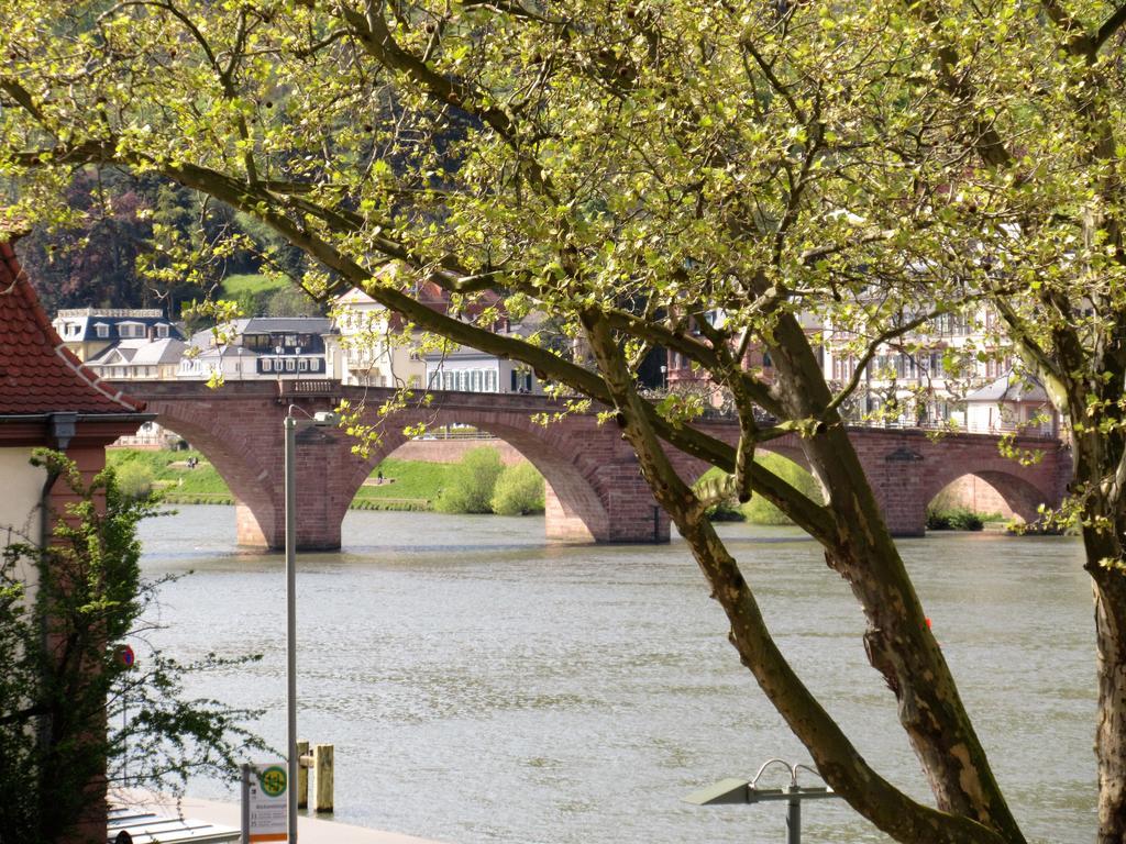 Neckarblick - Altstadt Apartment Heidelberg